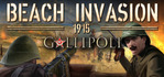 Beach Invasion 1915 Gallipoli